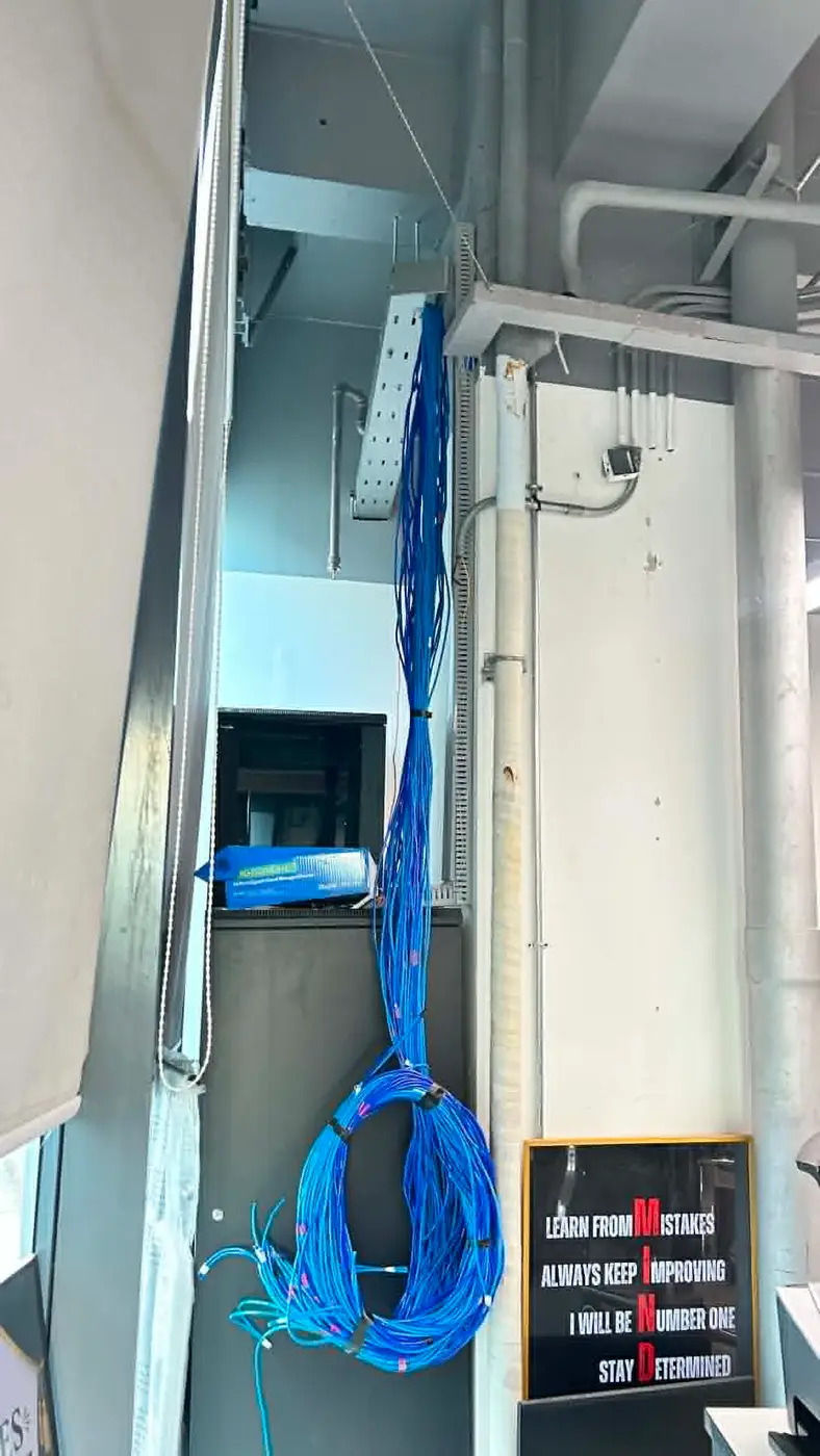 A large bundle of blue Cat6 cabling neatly coiled and secured beside a server rack.