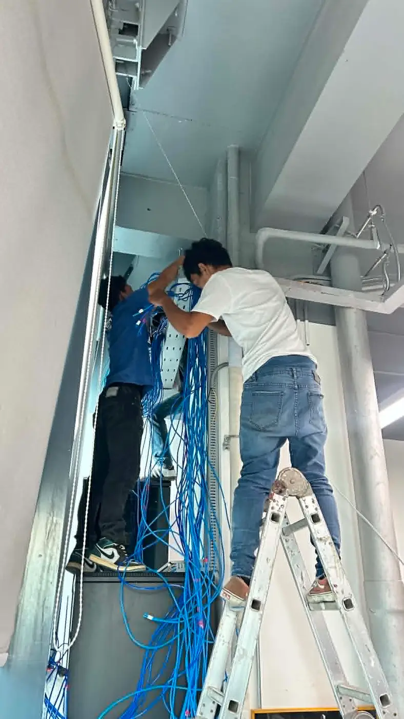 Two technicians terminating multiple Cat6 cable runs into a wall-mounted patch panel.