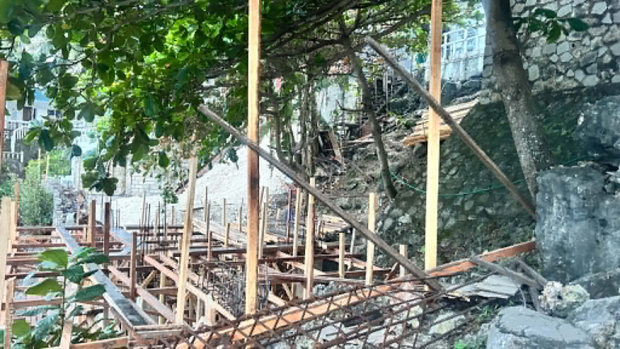 Wooden formwork posts staged among trees at the Turtle Point site ahead of the deck pour.